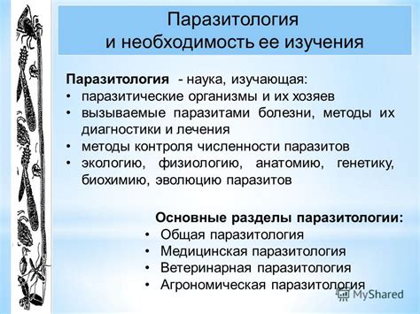 Методы предотвращения передачи паразитов