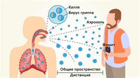 Методы распространения аспергиллеза: воздушно-капельный путь