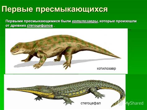 Метро: новое место обитания древних пресмыкающихся?