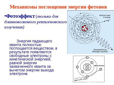 Механизмы поглощения и распределение металла с примесью, часто встречающегося в окружающей среде