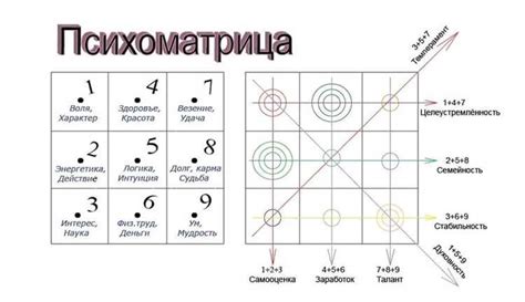 Механизмы формирования гармонии числа на фоне шелеста клена