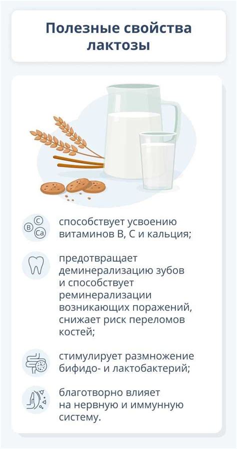 Механизм действия лактозы на организм: понимание воздействия молочного сахара