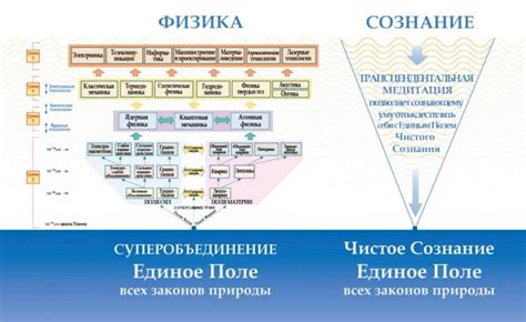 Механизм наследования голубых глаз: открытие законов природы