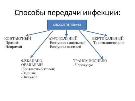 Механизм передачи вирусной инфекции человека