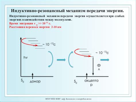 Механизм передачи энергии через обувь: научные объяснения