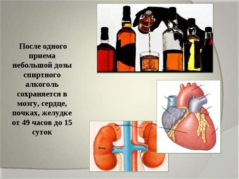 Механизм формирования перегара после употребления алкогольных напитков