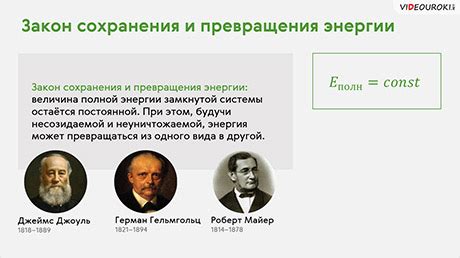 Механизм формирования энергии в организме: основные принципы