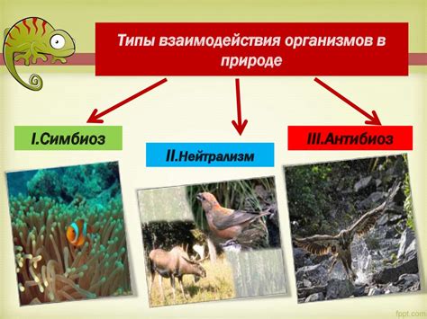 Миграционные путешествия кетов и их взаимосвязь с окружающей средой