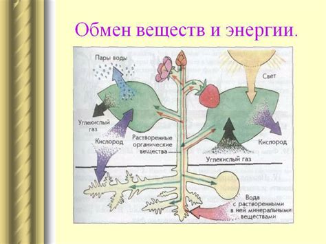 Миграция и связь сезонных перемещений со средой пресноводных водоемов