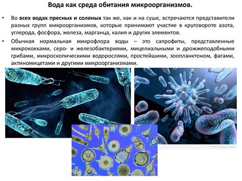 Микроорганизмы, которые могут проникнуть сквозь систему фильтрации