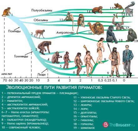 Мифические истории: что говорят о неведомом небе и неуловимых облаках древние цивилизации?