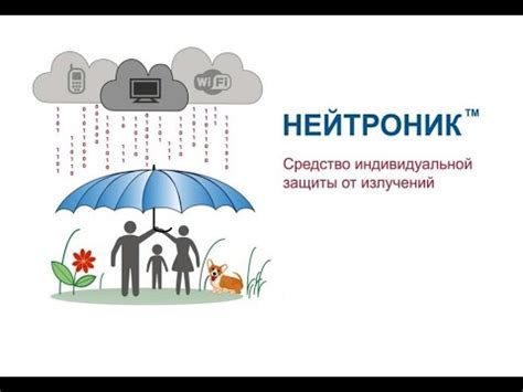 Миф или реальность: атмосферная среда жизни незаурядного ейца с горбатым бойцом