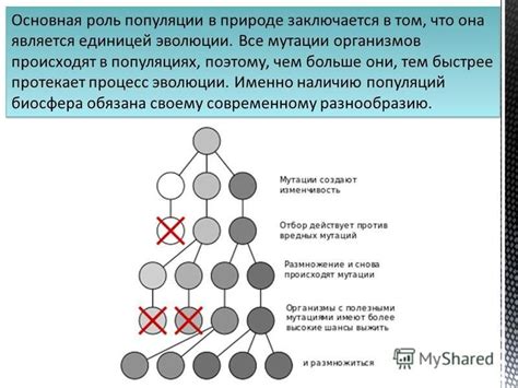 Многообразие поведения в популяциях и роль подбора в его формировании