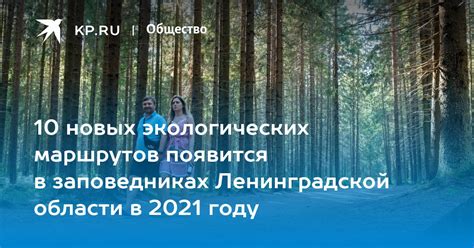 Можжевеловые насаждения в природных заповедниках Ленинградской области