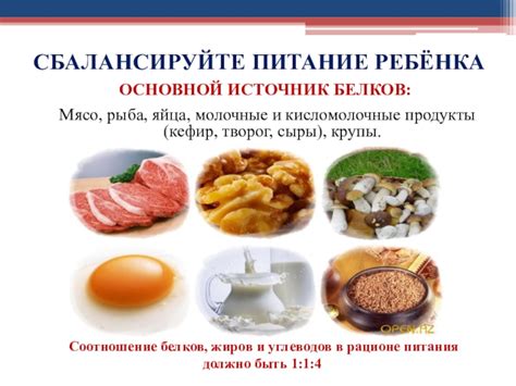 Молочные продукты и яйца: полезный источник белков и минерала