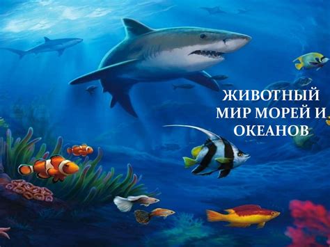 Морская жизнь: всеобъемлющий мир морей и океанов