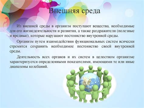 Морской климат и его воздействие на организм человека: лечебные свойства и укрепление иммунитета