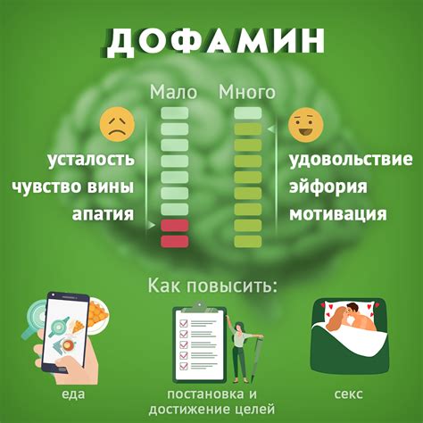 Моторная активность и удовлетворение: вклад дофамина