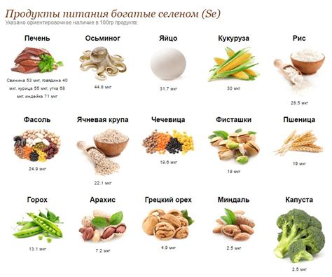 Мясо и птица – ценные источники селена для сбалансированного питания