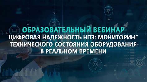 НПЦ-торговцы: надежность и разнообразие выбора