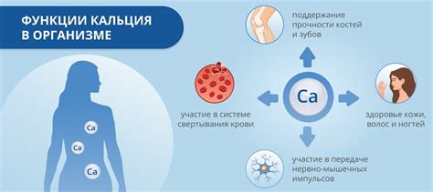 Нарушение обмена кальция и риск развития остеопороза