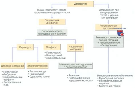 Нарушение работы желудочно-кишечного тракта и зрительной системы