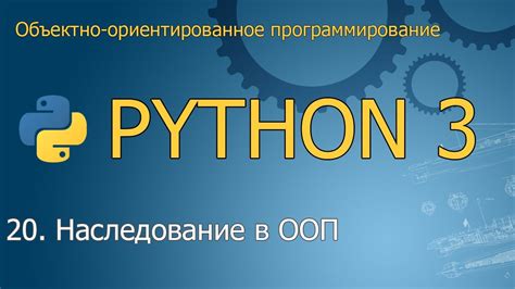 Наследование и функции в объектно-ориентированном программировании