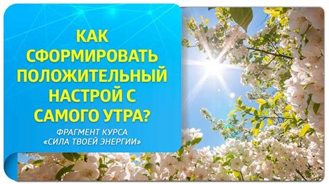 Настройка на положительный настрой и поиск общего благополучия