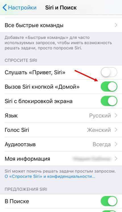 Настройка параметров голосового управления Siri