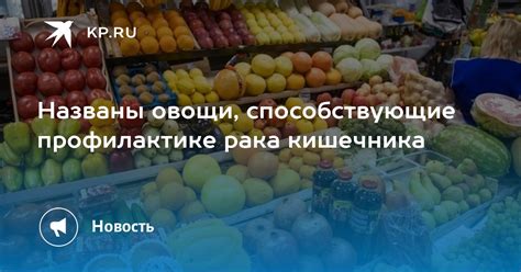 Насыщенность кишечника жидкостью: овощи, способствующие поддержанию оптимального уровня гидратации