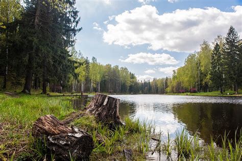 Национальный парк "Лосиный остров"