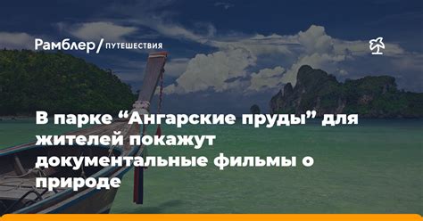 Невские пруды: ближайшая возможность для жителей города насладиться увлекательной рыбалкой 