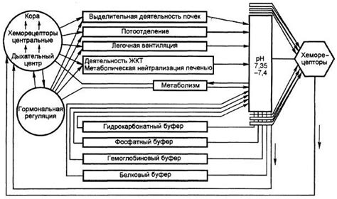 Недостатки и ограничения мебельного системы для поддержания оптимального состояния белья