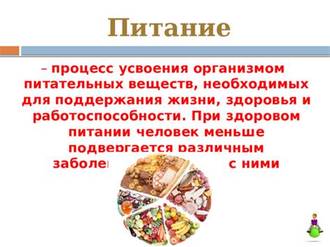 Недостаток веществ, необходимых для поддержания здоровья собаки: негативное влияние на ее организм