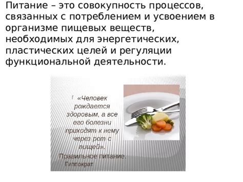 Недостаток необходимых питательных веществ в организме: факторы и последствия