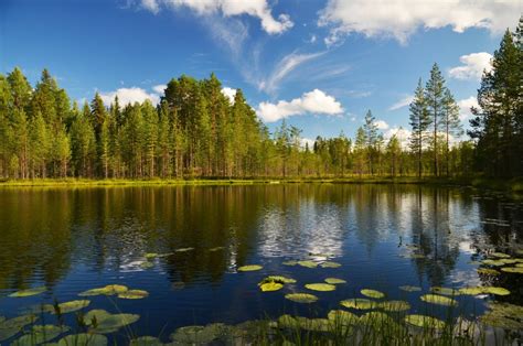 Некасаемые природные прелести Карелии