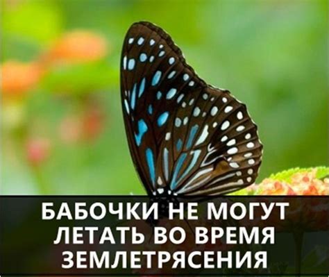 Некоторые факты и интересные особенности