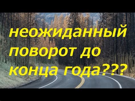 Неожиданный поворот: неожиданное путешествие в деревню Ольгино