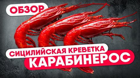 Неповторимый вкус: варианты приготовления деликатесных морепродуктов в Твери