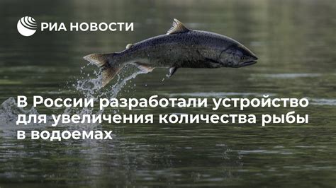 Непостижимая загадка: происхождение рыбы в гладких водоемах