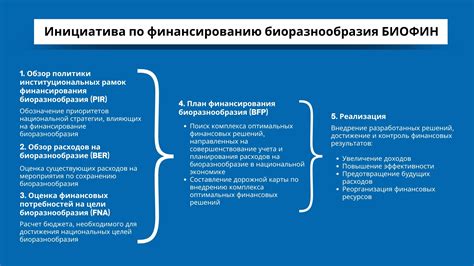 Новые пути к финансированию: инновационные изменения в заемных обязательствах