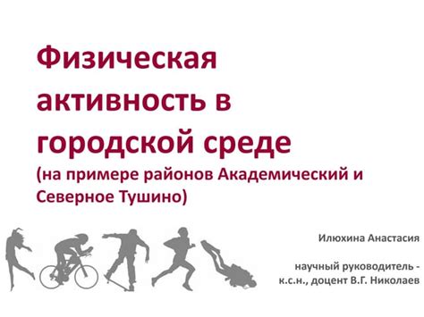 Ночные существа: активность воздушных обитателей в городской среде