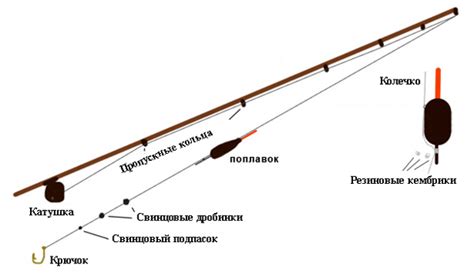 Нюансы использования фидерной удочки в роли спиннинга: что нужно знать