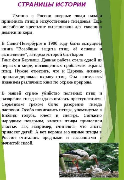 Оазисы природы в удивительный мир Припяти: гнездовья для перелетных птиц