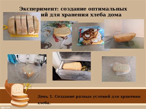 Обеспечение оптимальных условий хранения деликатесной продукции в прозрачных емкостях