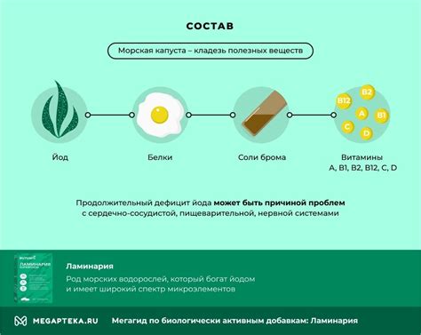 Обзор и основные характеристики ламинарии