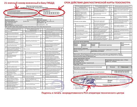 Обзор основной информации о документе диагностической карты