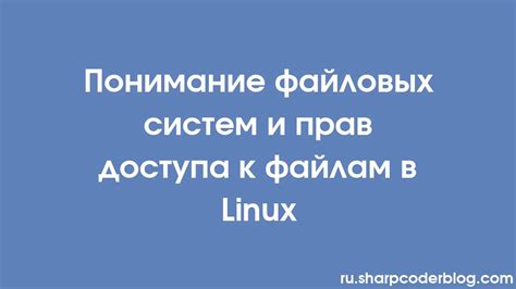 Обзор основных маршрутов к ppd-файлам в операционной системе Linux