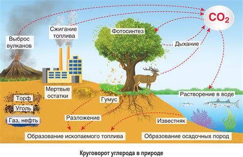 Обмен ресурсов на азот в торговых постах