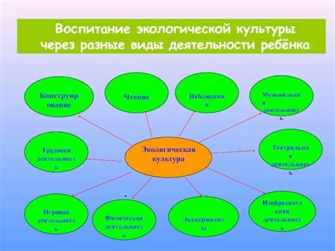 Образовательные учреждения: передача знаний и опыта следующему поколению географов